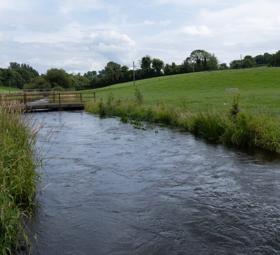 An Taisce: Rivers in south and southeast 'still in serious trouble'
