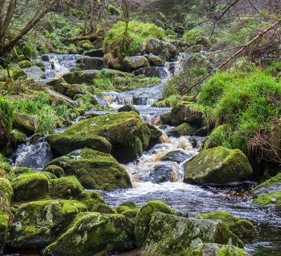 Upskilling courses for farmers under new water quality campaign