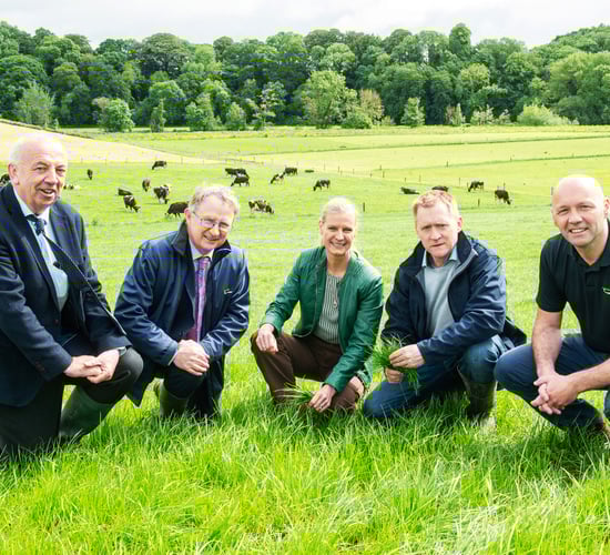 A focus on enhancing water quality by tree planting at Moorepark