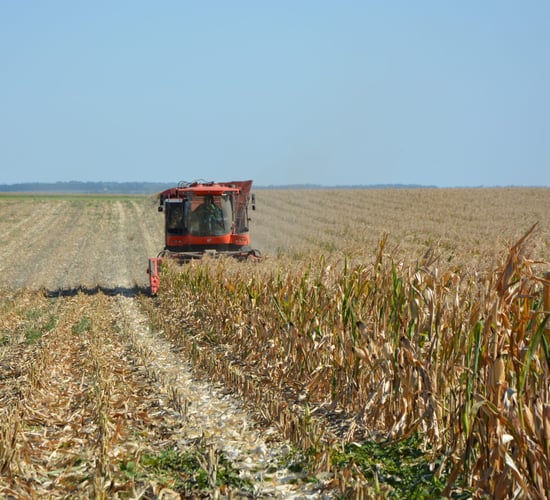 EU agri groups call for 'carefully balanced' approach to Ukraine