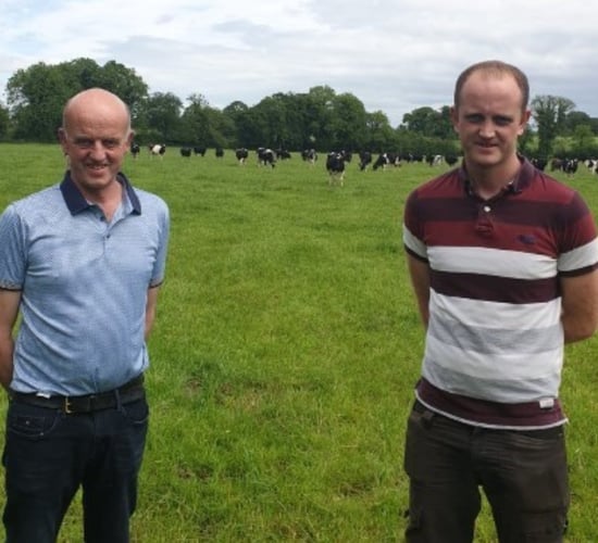 Dairy Beef Index Series: Longford father and son prioritise genetic potential