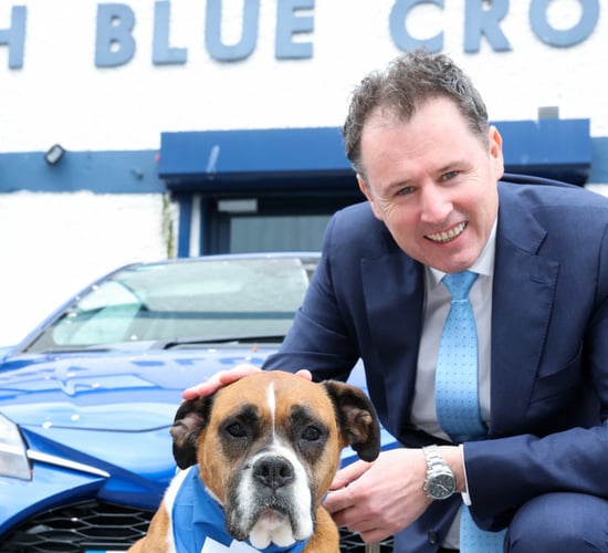 Remote control electronic shock collars for dogs to be banned