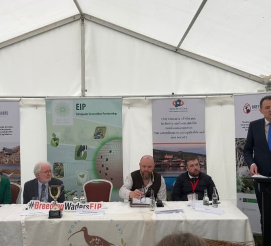 Watch: Minister outlines payment rates for breeding waders project