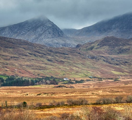 NPWS to remove deer fence in Connemara National Park