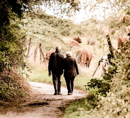 People urged to check-in with elderly neighbours