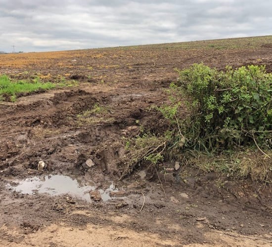 Farmer tells TD there is 'no joy in farming' just red tape
