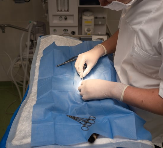 Vet council seeks views on standards in practices and programmes