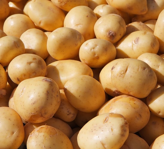 Met Éireann: Potato blight advisory currently in place