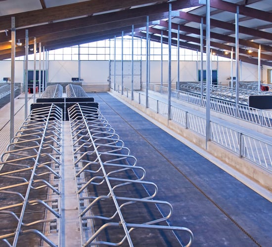 Over half of TAMS tranche 2 applications approved