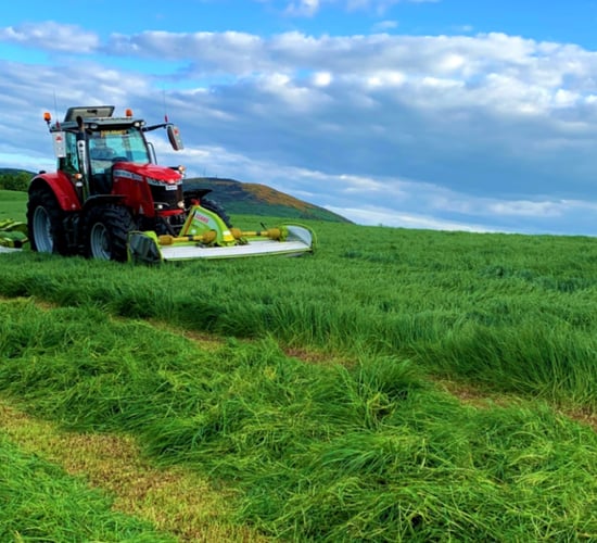 The impact of cutting dates on silage quality as weather improves