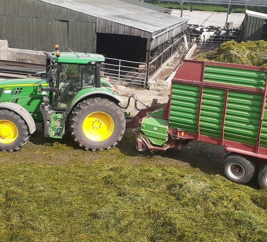 The importance of not delaying your first cut silage