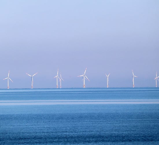 Cowen: 'Fast-track' renewable projects to ensure energy future