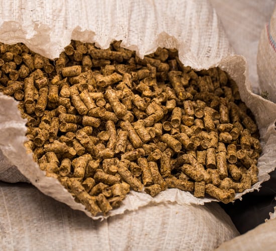 Series of workshops start tomorrow on wood fuel drying