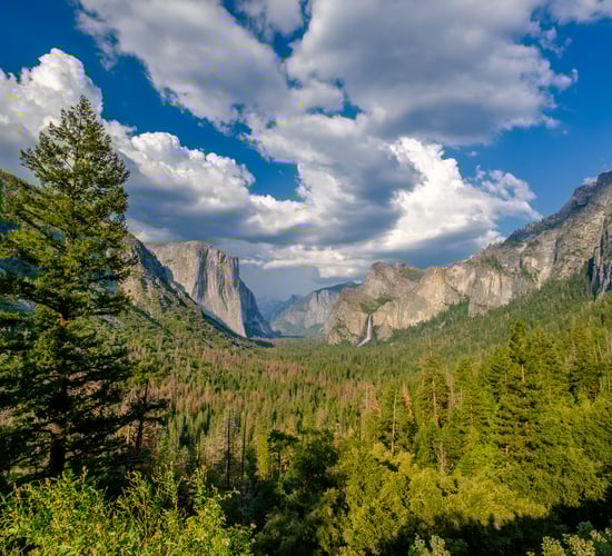 Agreement signed between national parks in Mayo and US