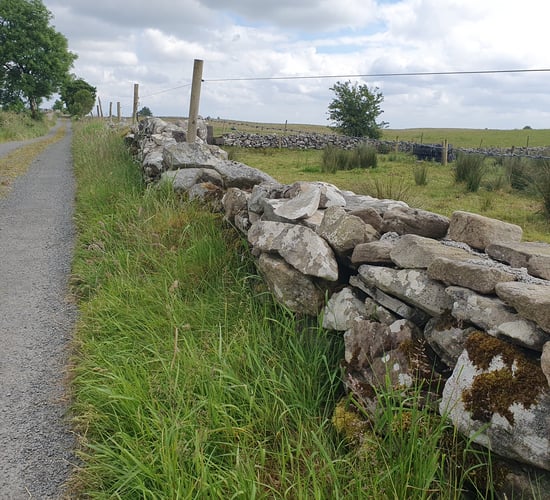 Watch: Are you thinking of restoring dry stone walls?