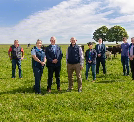 Bank of Ireland teams up with Cork co-ops for new farmer loan