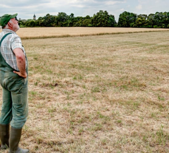 Agri-advisors help to guide support services for farmers