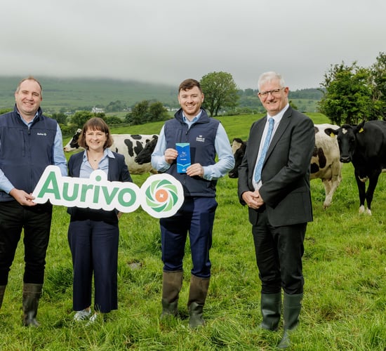 Bank of Ireland and Aurivo team up to launch 'sustainability' loans