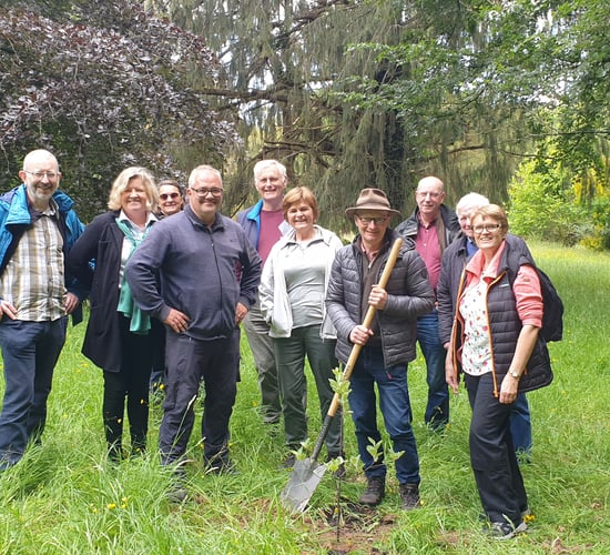 ITGA presents 'unique' native tree to Emo Court in Laois