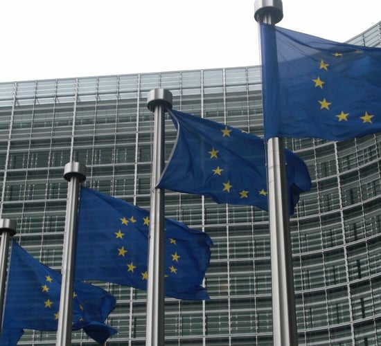 MEP calls for clarity on Nature Restoration Law budget