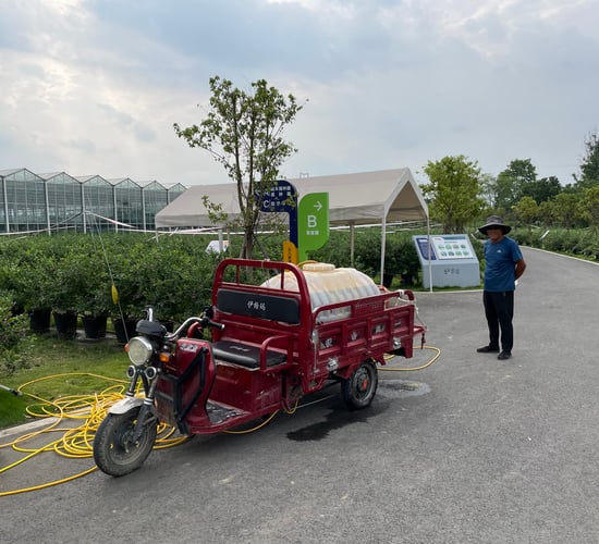 5,000ac blueberry farm in China yielding from 2-3t/ac
