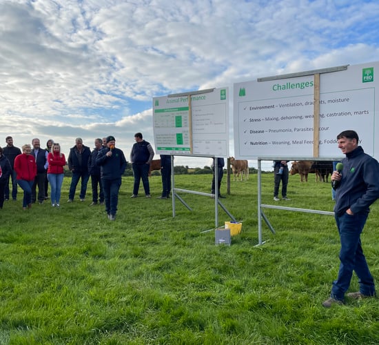 Focus: Straight-talking Mayo suckler farmer hosts IGA beef event