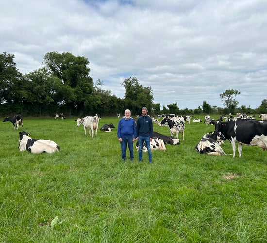 Dairy Throwback: The Dondale Herd – choosing pedigree over EBI