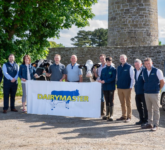 Kerry Holstein Friesian Breeders launch herds competition
