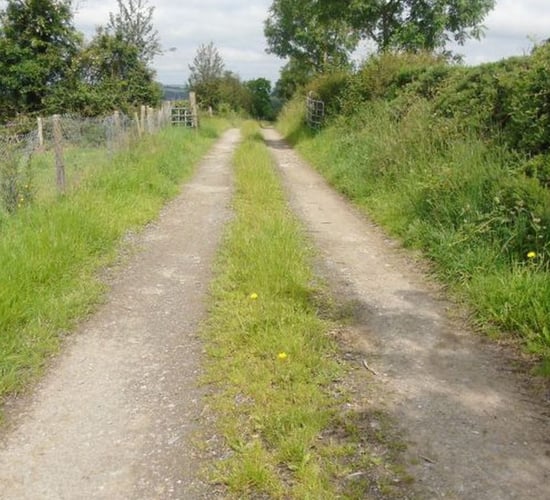 Rural roads need 'critical investment' for road safety - Gildernew