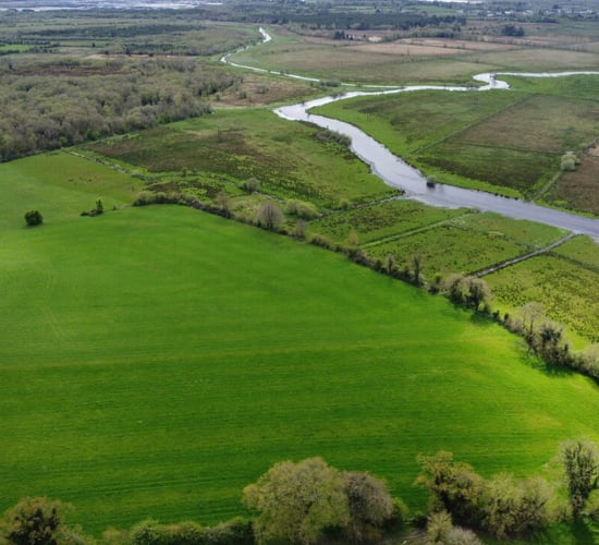 McConalogue breaks down Budget 2025 - 'a strong message' to farmers