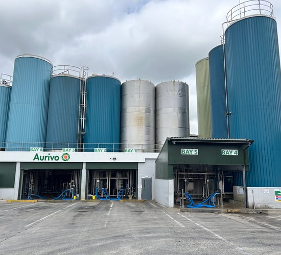 Aurivo CEO set to step down at 2026 AGM