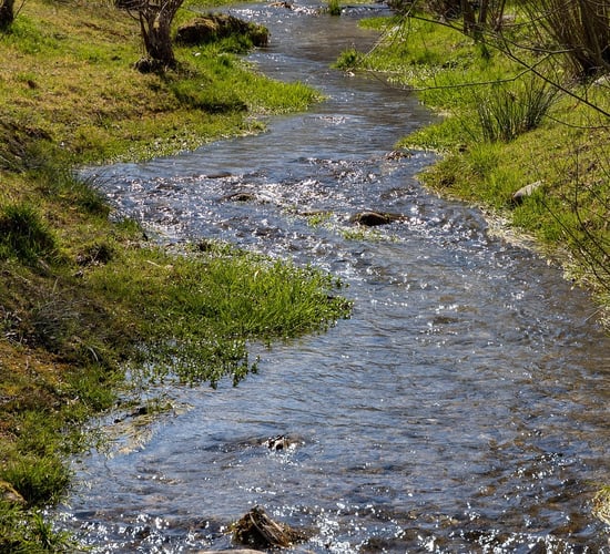 DAERA publishes third River Basin Management Plan