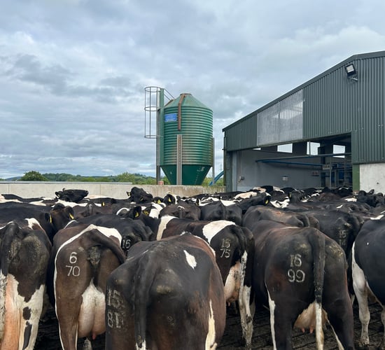Total production costs up by 56% since 2015 on dairy farms