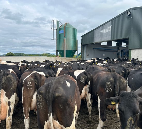 How farmers can manage cash flow after a tough spring