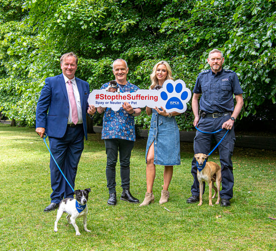 ISPCA launches campaign to control pet overpopulation