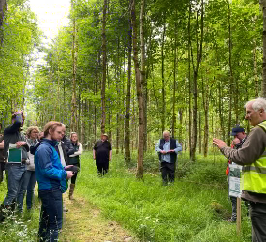 Watch: Organic suckler farming in Cavan with a passion for nature