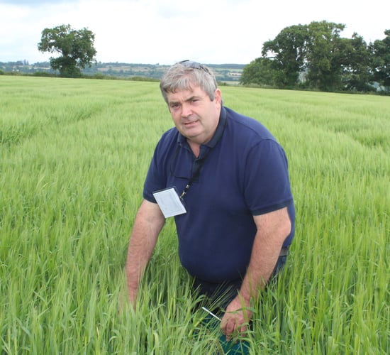 Full acceptance for SIM applicants 'positive' for tillage farmers