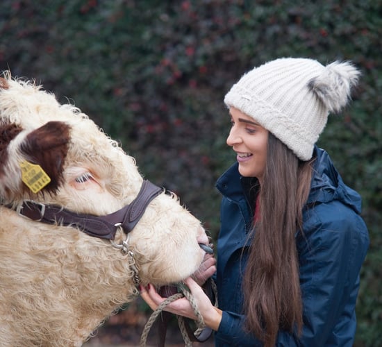 €24,000 raised for local charities by young Hereford breeders