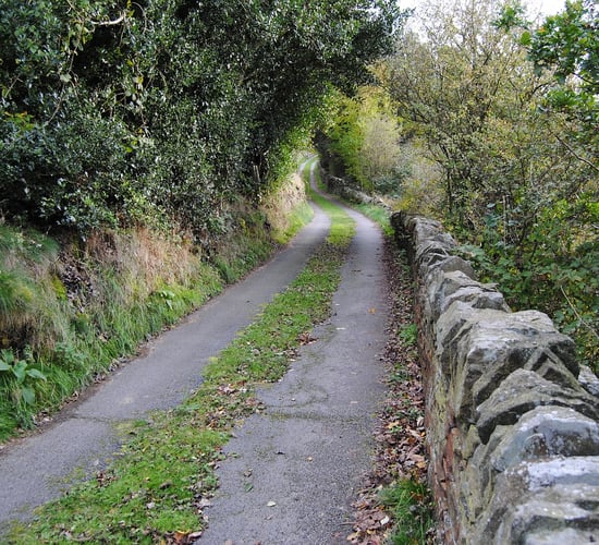 TD warns of 'stench' of septic tanks down country lanes