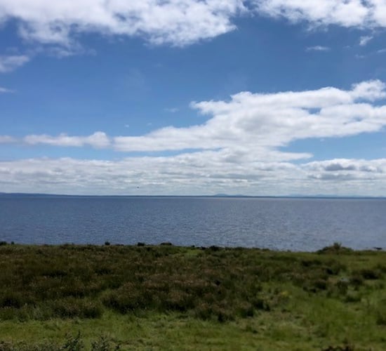 Lough Neagh has suffered from 'decades of agricultural runoff' - study