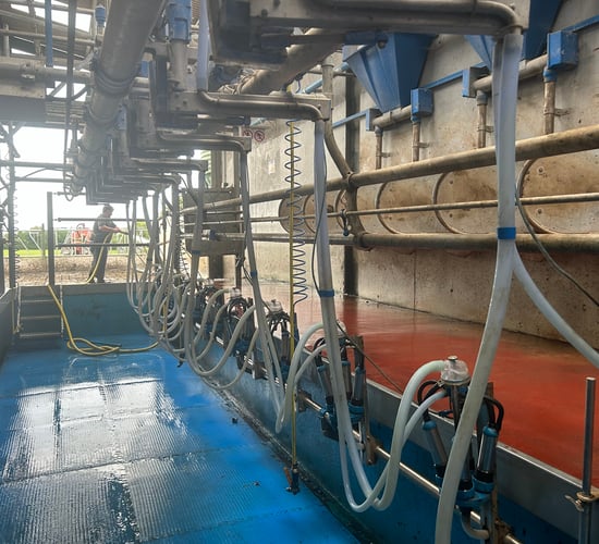 DAFM Review: Uncertainty weighed on 2023 agri profitability