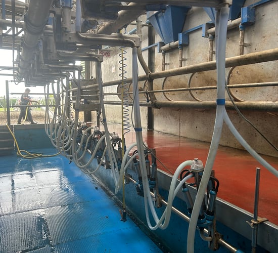 Dairy advice: The importance of teat spraying