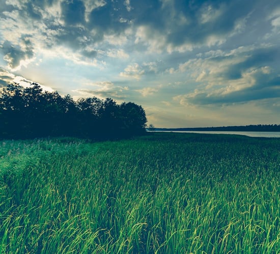 New research shows farmers want 'payment' for water quality measures