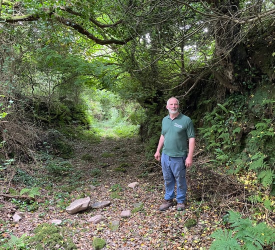 Watch: Agroforestry showcased on Kerry farm walk