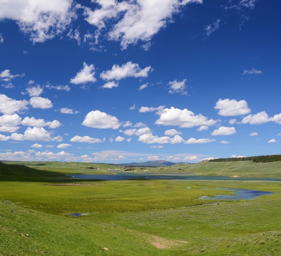 Government urged to clarify source of funding for nature restoration