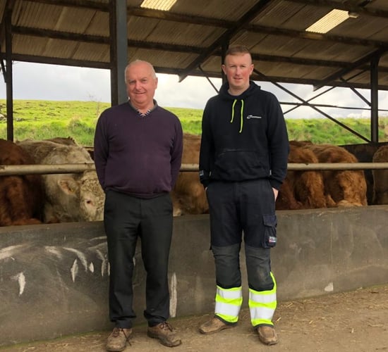 ABP Monitor Farms: More sucklers and a reseed in Sligo