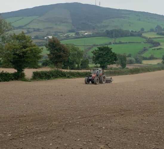 Identifying paddocks on the farm for autumn reseeds