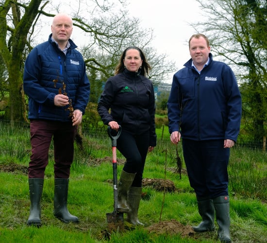 Lakeland Dairies to plant 5,000 native trees