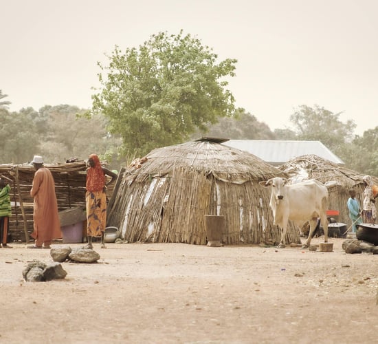 One in 11 people globally faced hunger in 2023 - UN