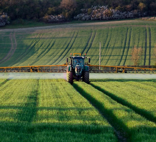 Glyphosate no longer allowed to desiccate crops prior to harvest